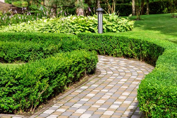 Cost of Paved Landscaping in New Port Richey