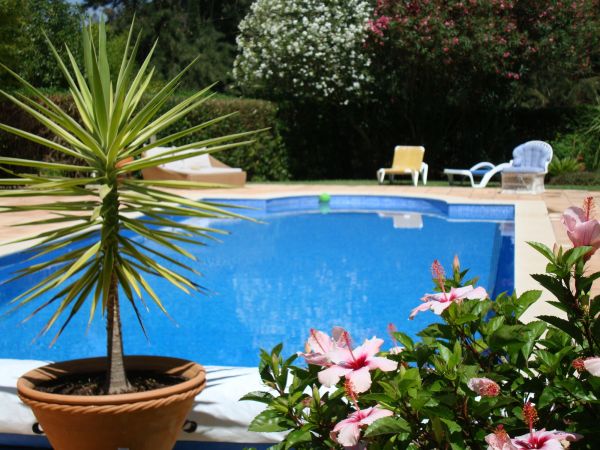 Pool Terrace Renovation in New Port Richey