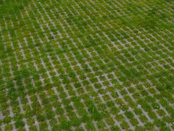 Cost of Permeable Pavement Service in New Port Richey